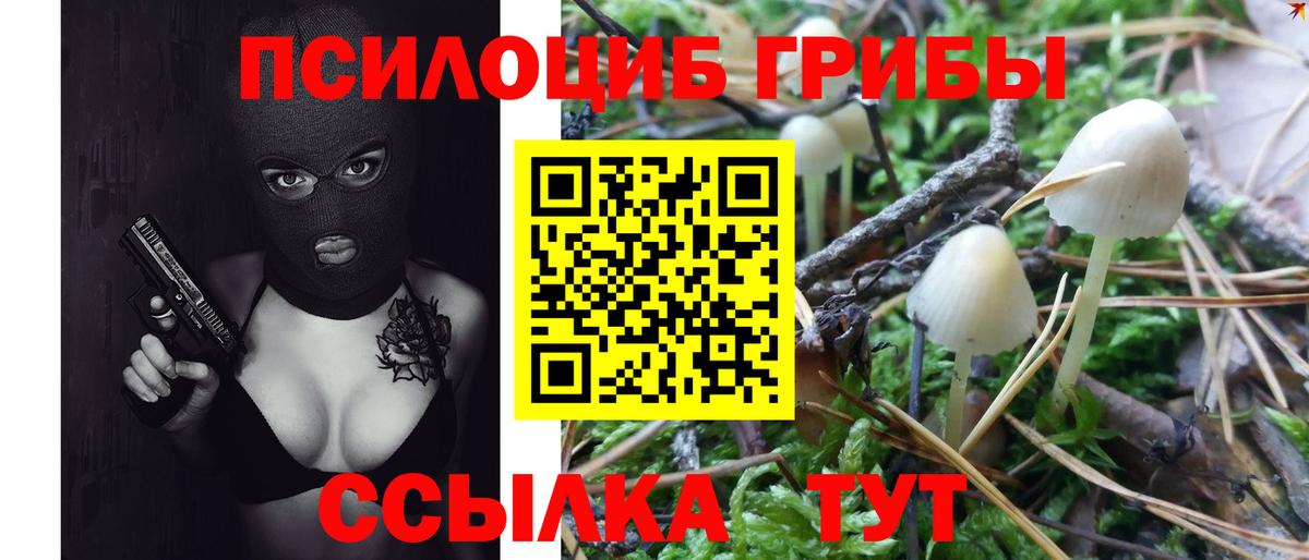 Псилоцибиновые грибы GOLDEN TEACHER  Вход с VPN  где продают   Лабытнанги  Псилоцибиновые грибы мицелий 