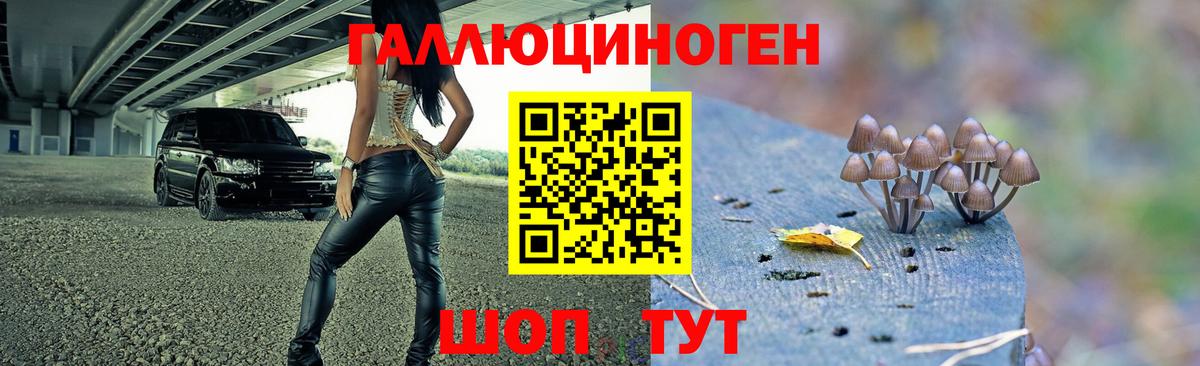 Псилоцибиновые грибы ЛСД Лабытнанги